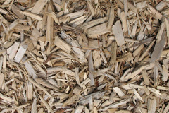 biomass boilers Maulden